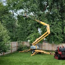 Best Lawn Irrigation Installation and Maintenance  in Brownsville, TN